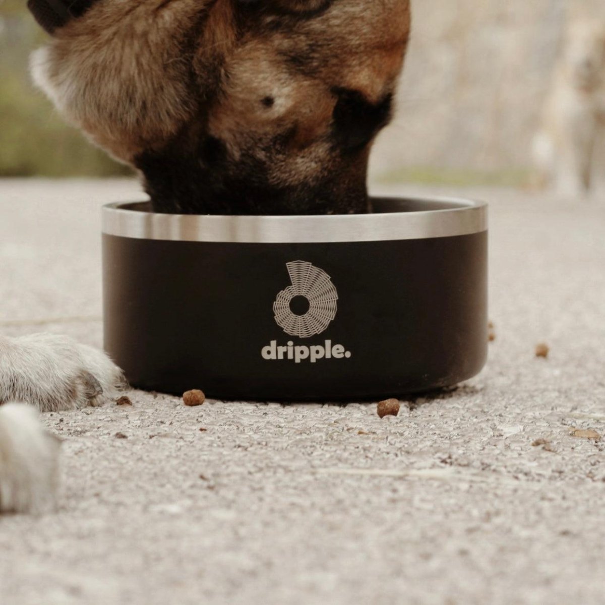 Dripple™ Pet Bowls - dripplelb